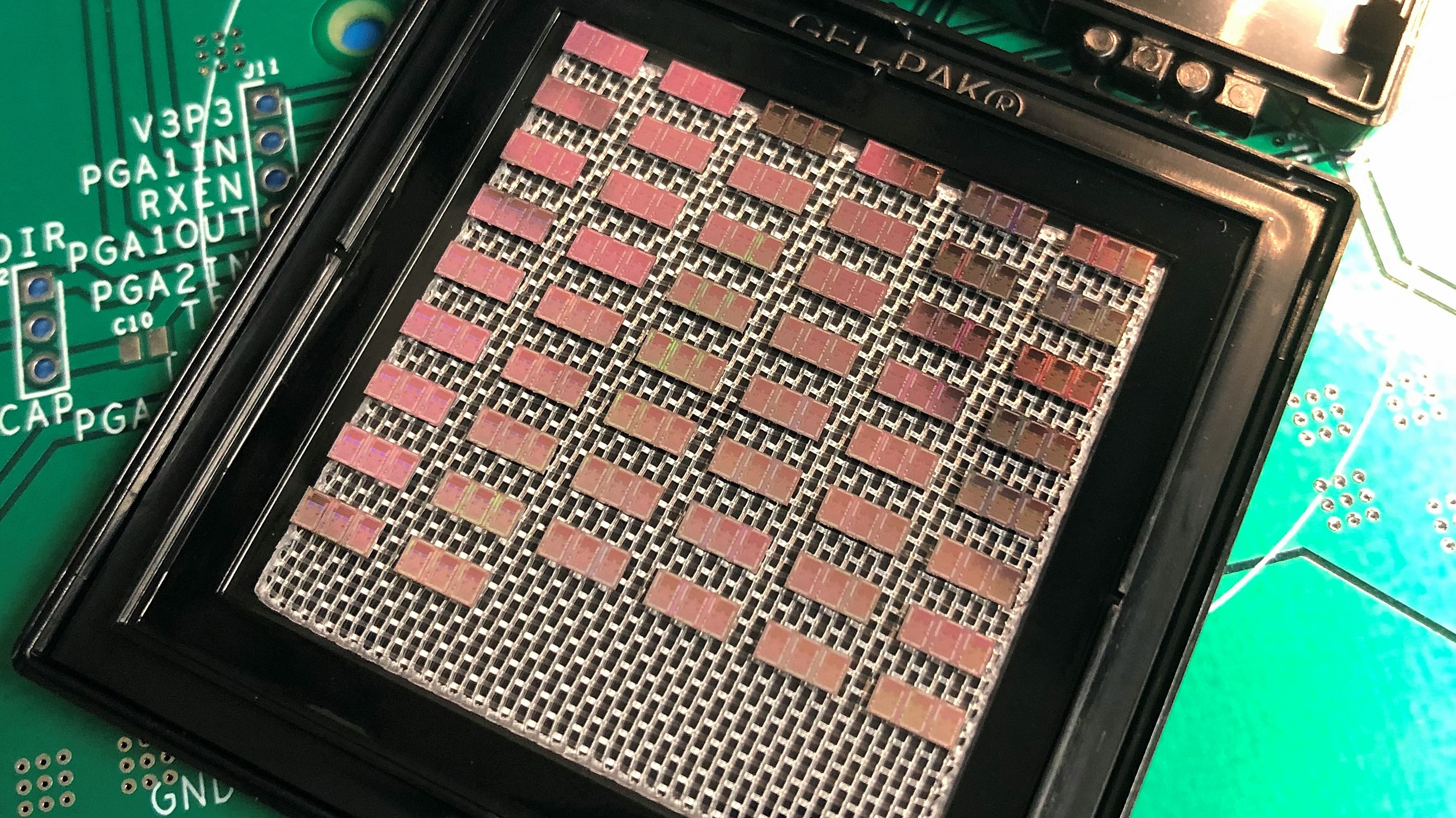 P1000 Die